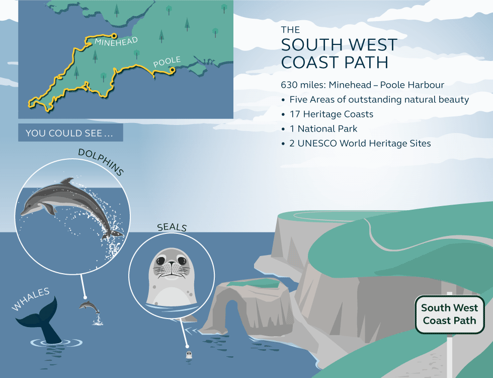 Illustration and information about the south west coast path