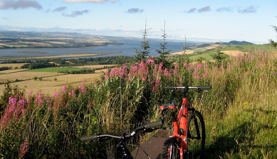 Best for exploring the city: The Green Circular
