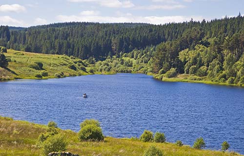 Kielder Forest