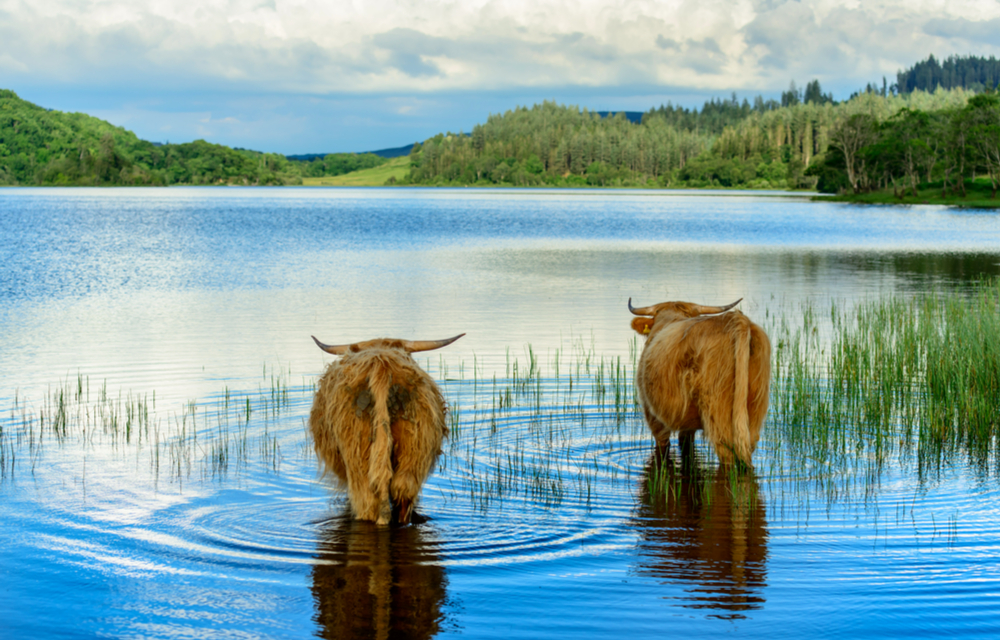 Loch Lomond