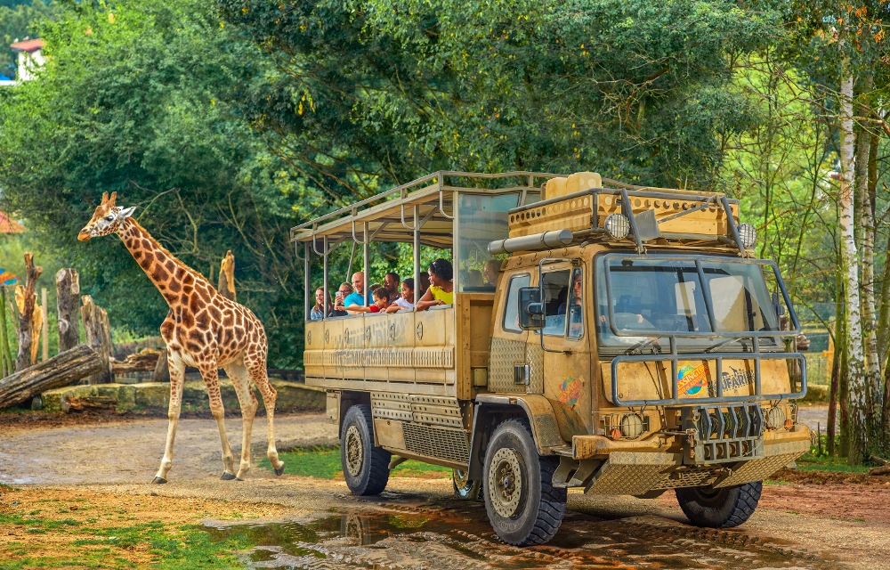 Hotels near Chessington World of Adventures