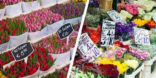 Bloemenmarkt, Amsterdam, Netherlands and Columbia Road Flower Market, London