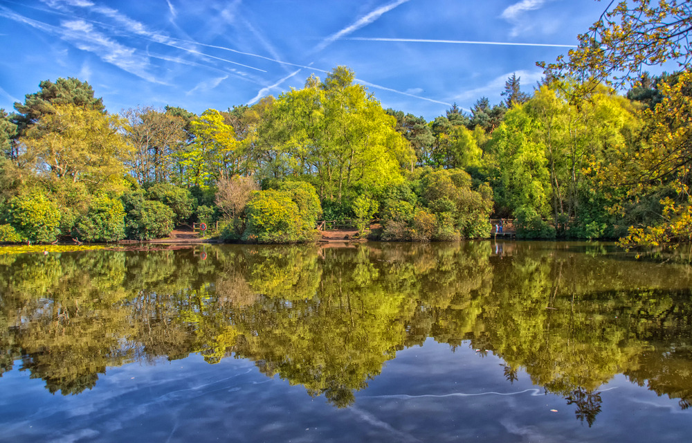 Royden Park Lake, The Wirral