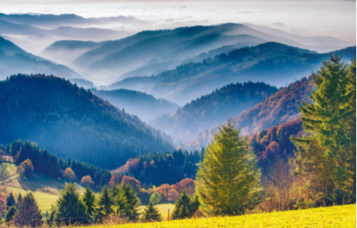 Schwarzwald
