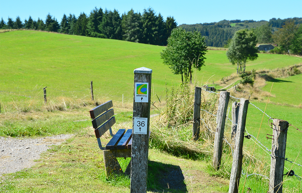 Eifelsteig