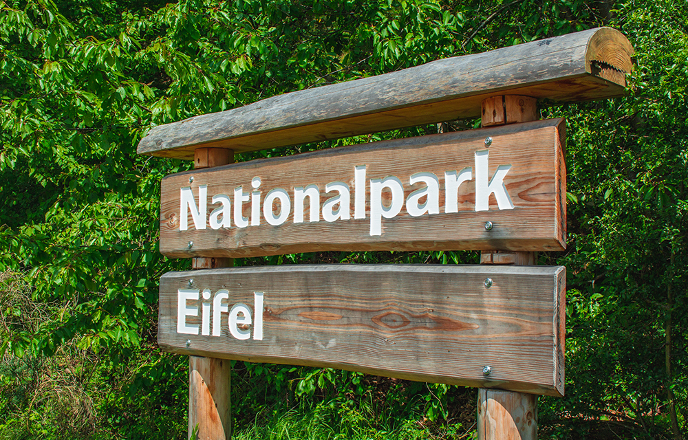 Nationalpark Eifel