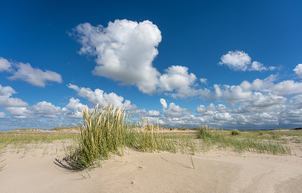 Strand von Norderney