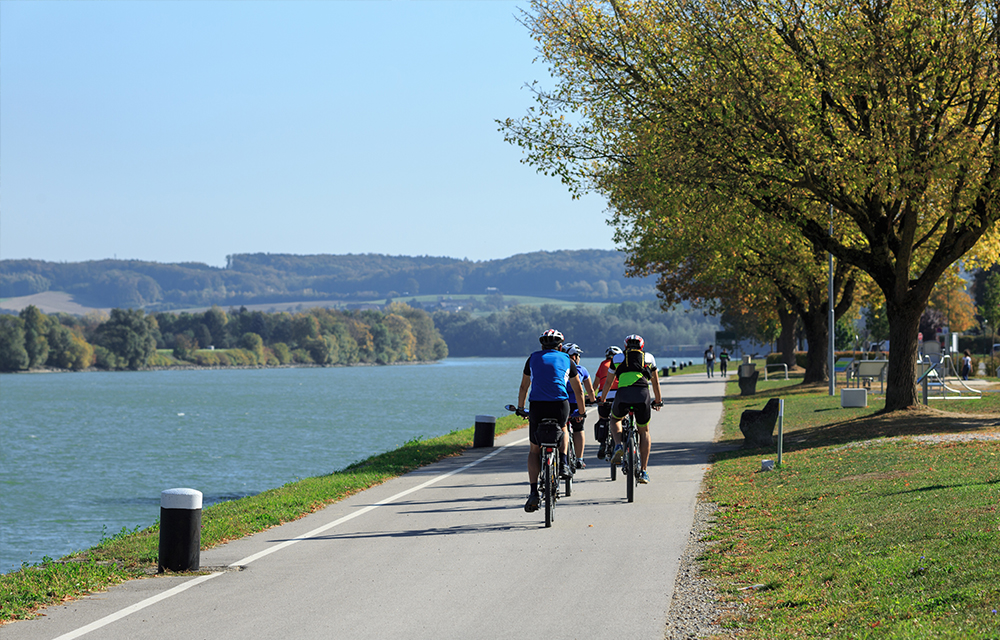 Radfahrer unterwegs auf dem Donauradweg
