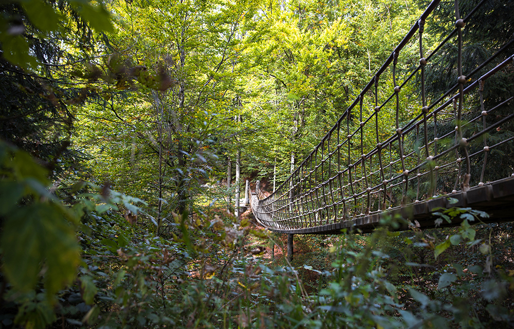 Hängebrücke auf dem Rothaarsteig