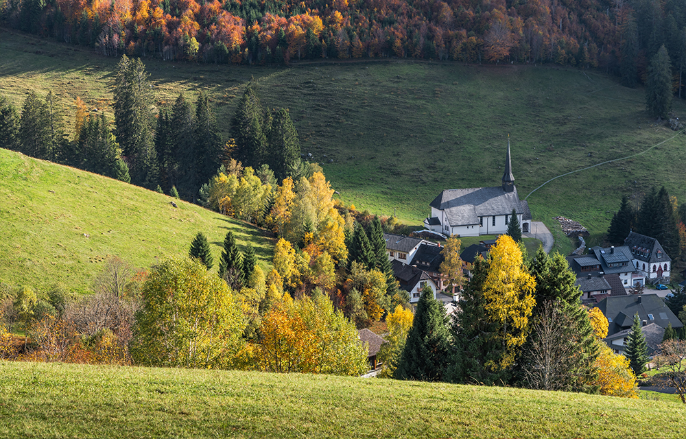 Schwarzwald