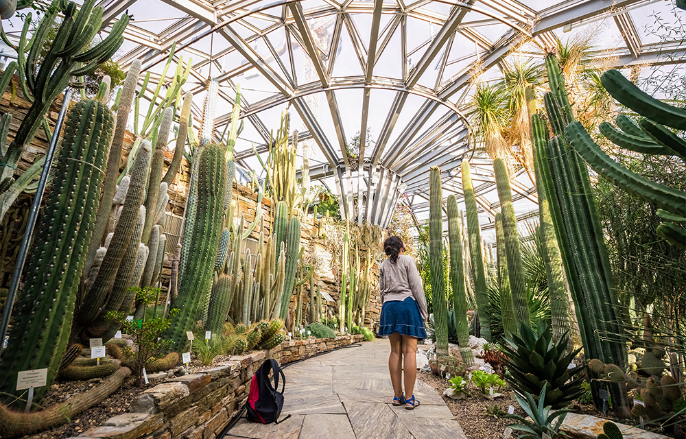 Botanischer Garten